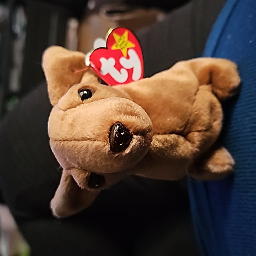 Ty Beanie Baby "Weenie"